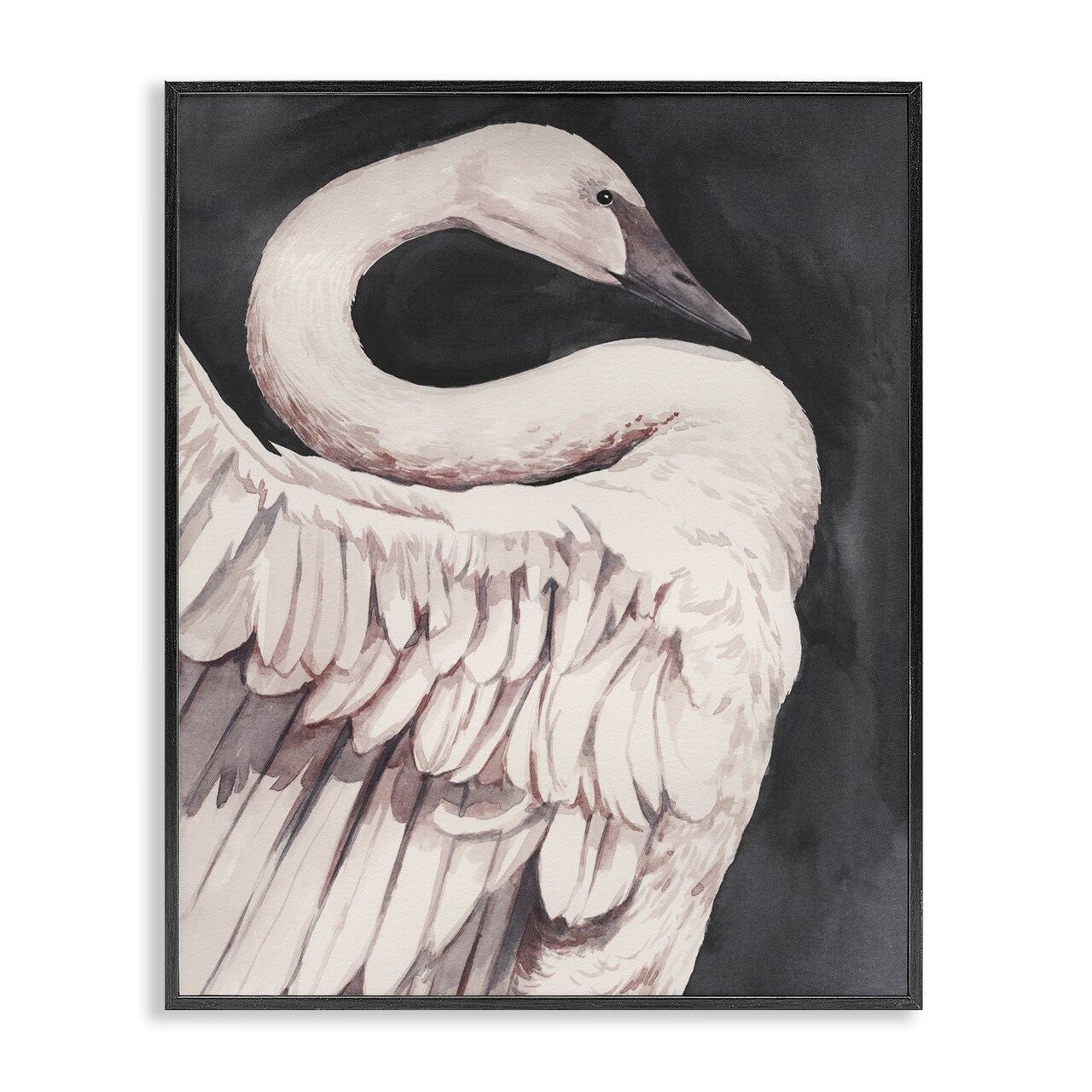 Stupell Industries Swan Portrait on Grey Framed Giclee Wall Art Design by Grace Popp